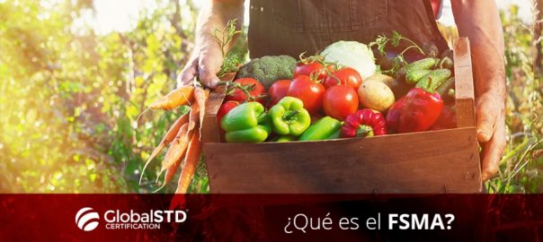 ¿Qué es el FSMA?