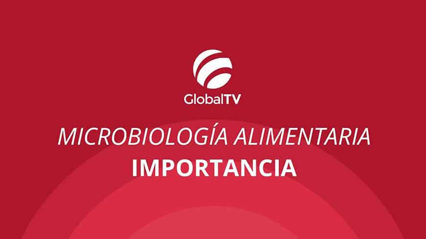 blog global std