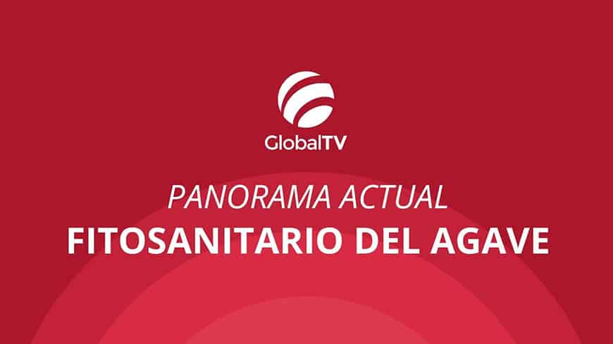 blog global std