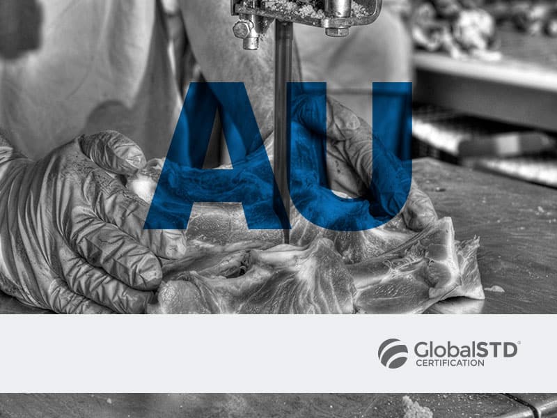 curso global std
