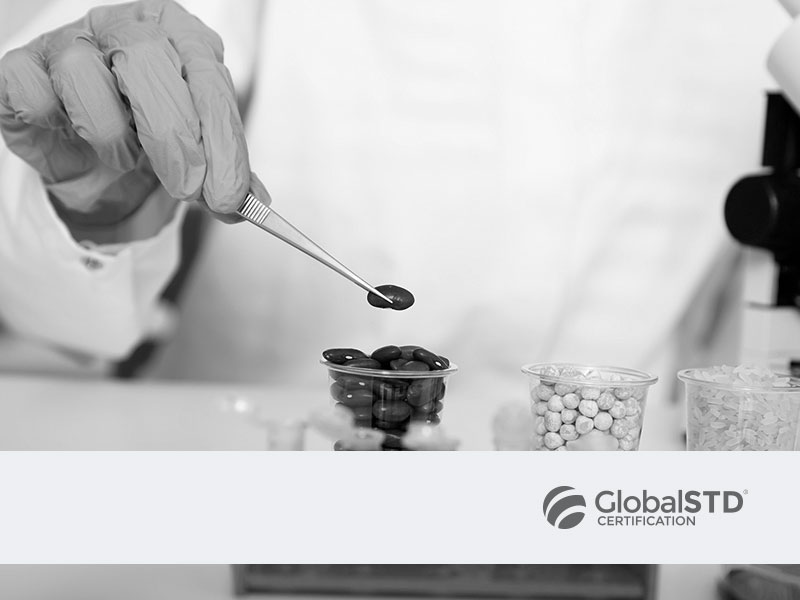 curso global std