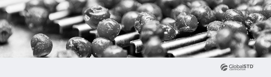 portada curso globalstd