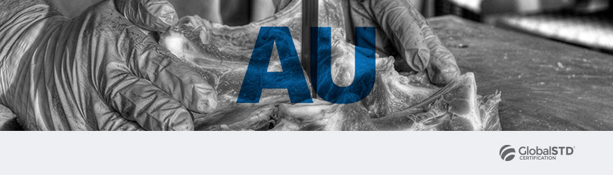 portada curso globalstd