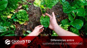 Diferencias entre sustentabilidad y sostenibilidad