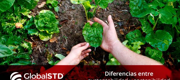 Diferencias entre sustentabilidad y sostenibilidad