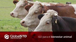 ISO ISO/TS 34700 para el bienestar animal