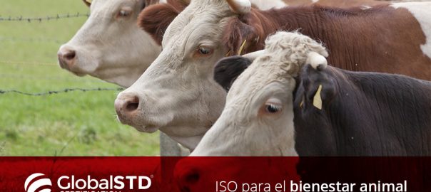 ISO ISO/TS 34700 para el bienestar animal