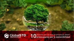 10 razones para que las empresas se preocupen por la sostenibilidad