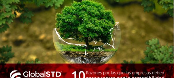 10 razones para que las empresas se preocupen por la sostenibilidad