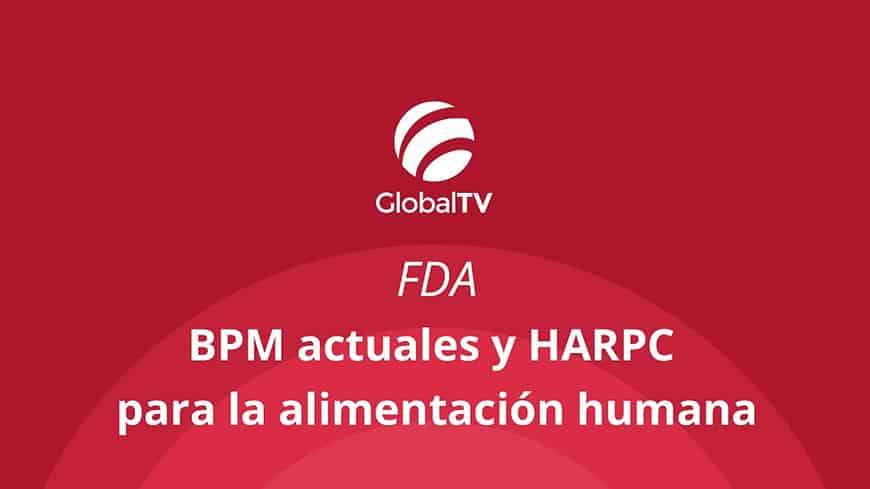 blog global std