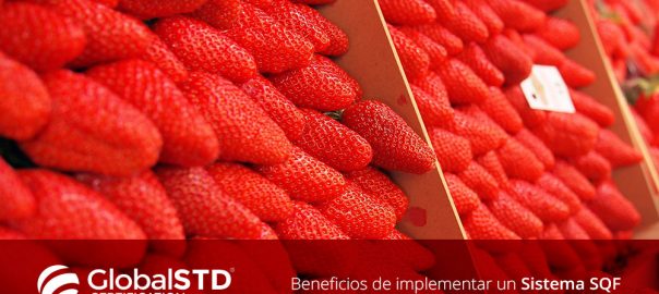 Beneficios de implementar SQF