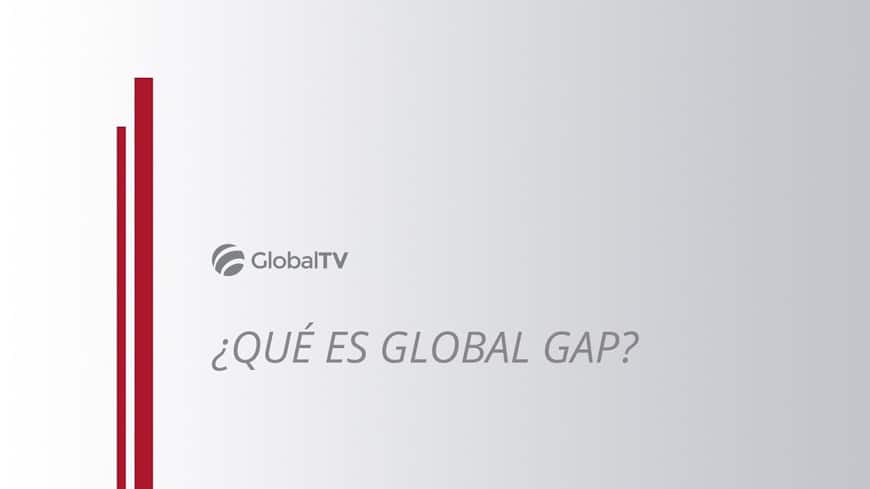 blog global std