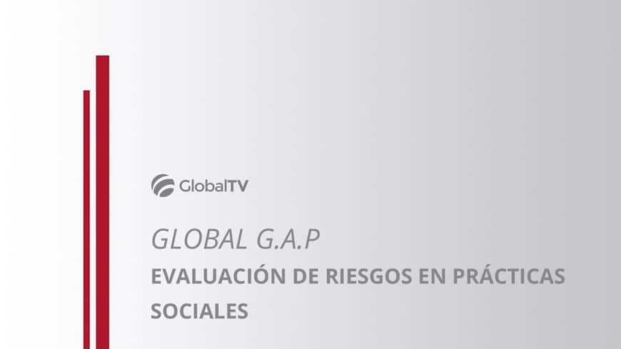blog global std