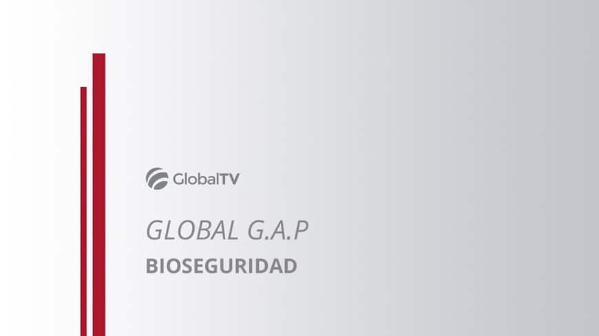 blog global std