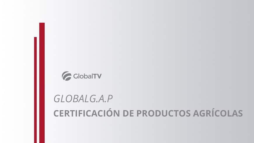 blog global std