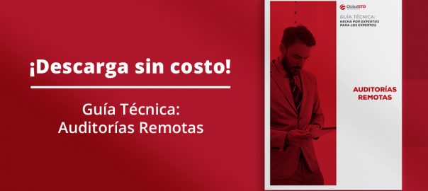 Guía Técnica: Auditorías Remotas