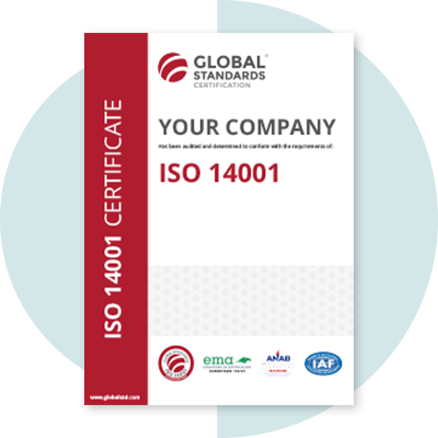 imagen global standards