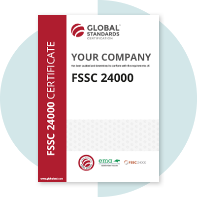 imagen global standards