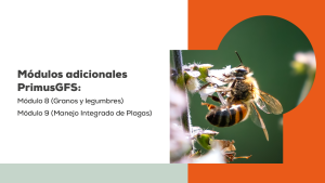 curso