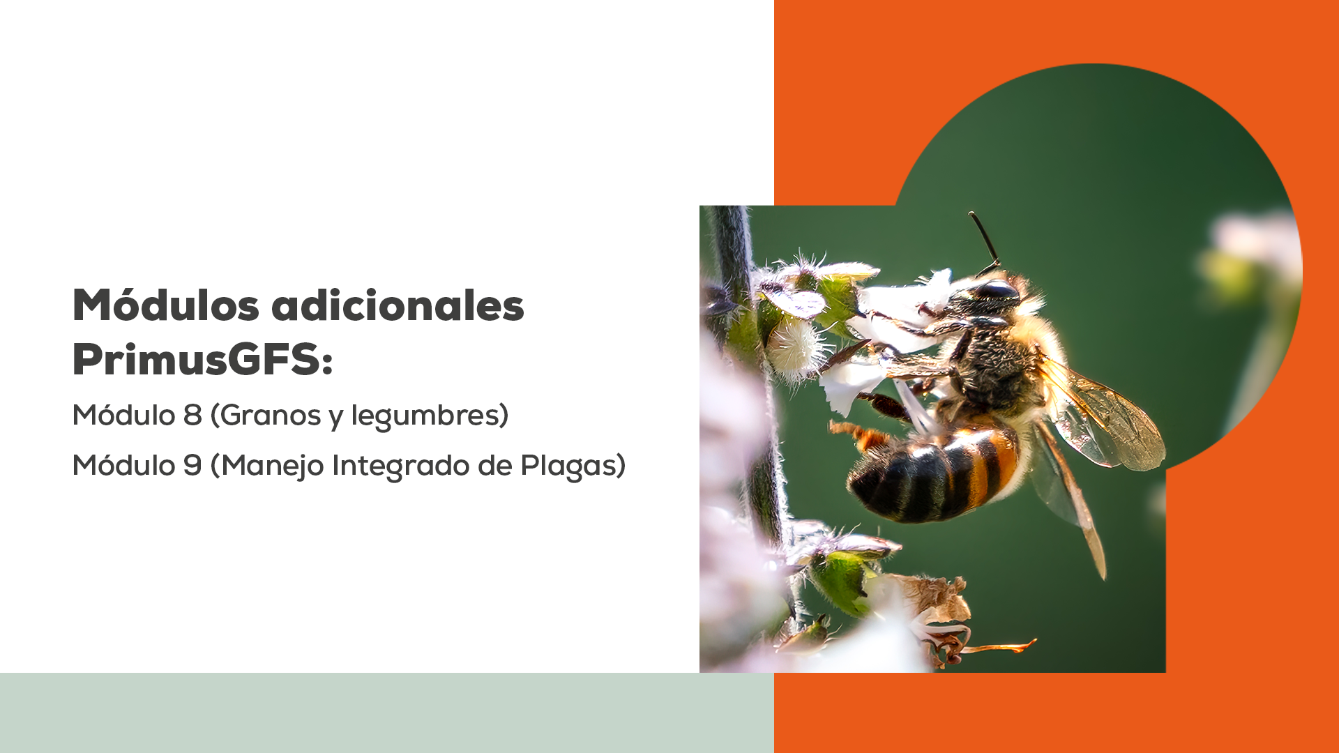 conferencia globalstd