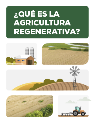 ebook