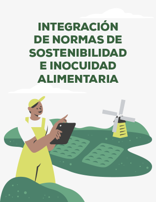 ebook