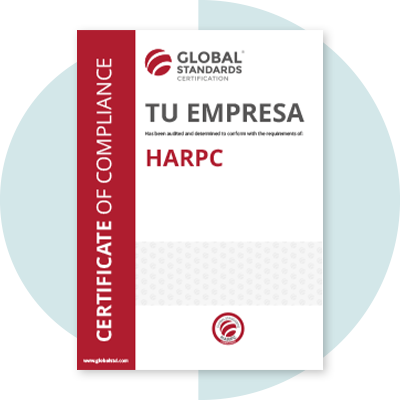 imagen global standards